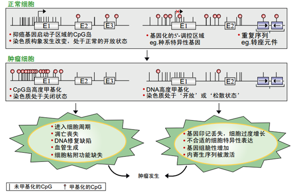 97国际(中国区) - 官方网站