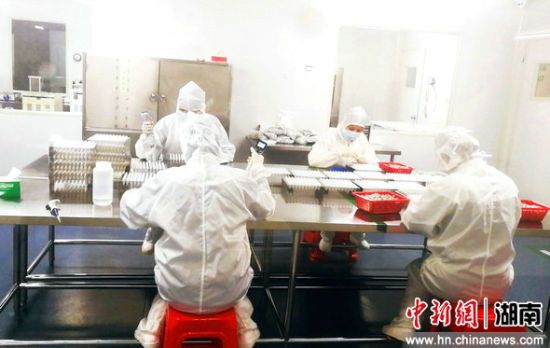 97国际(中国区) - 官方网站
